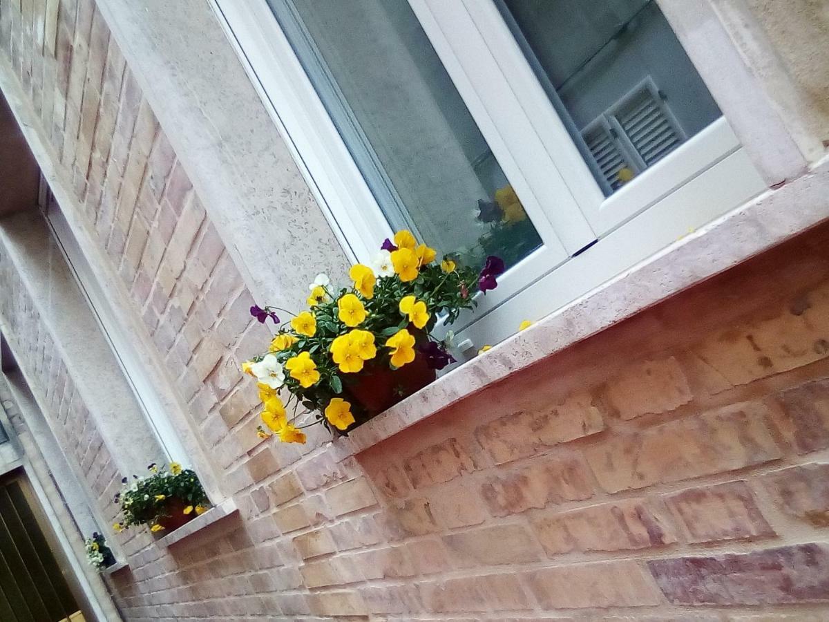 Officina Urban Sleep Bed & Breakfast Сан Бенедето дел Тронто Екстериор снимка